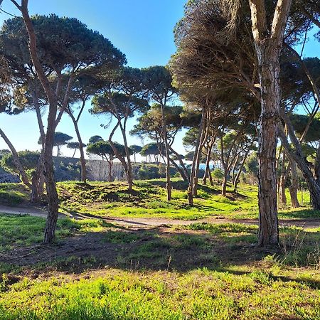 Sea Wave Sounds, Meco, By The Beach Σεσίμπρα Εξωτερικό φωτογραφία